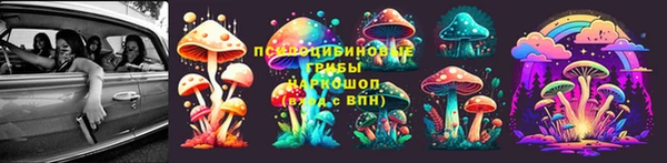 PSILOCYBIN Белоозёрский